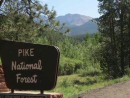 Pike National Forest
