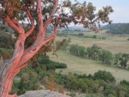 Castlewood Canyon State Park