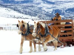 4 Eagle Ranch Sleigh Ride Wolcott Colorado