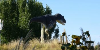 Dinosaur statue in the grass