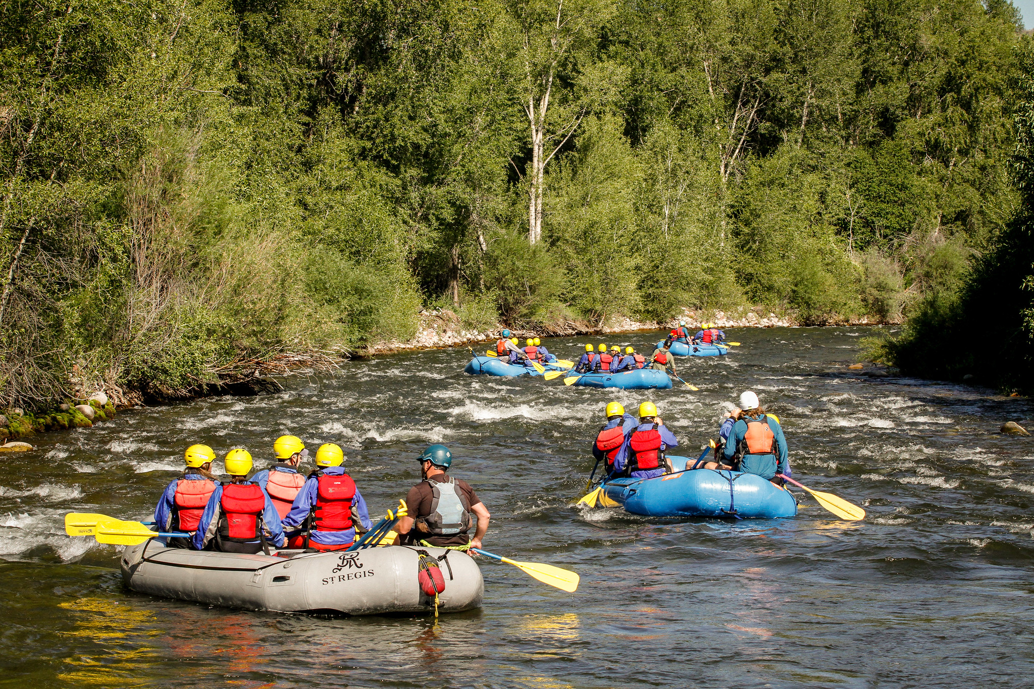 Multiple inflatable whitewater rafting rafts floating on a calm section of river