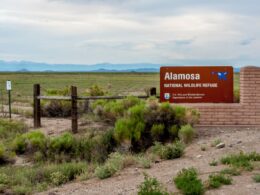 Alamosa National Wildlife Refuge Colorado