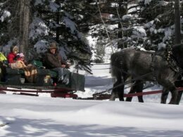 Aspen Carriage and Sleigh Ride Winter Colorado