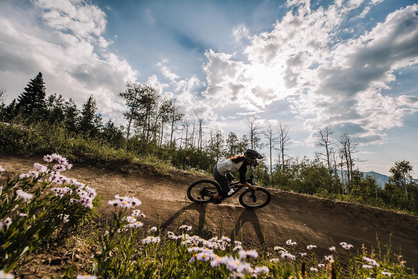 Biker on trail with wildflowers in foreground