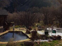 Avalanche Ranch Cabins Hot Springs