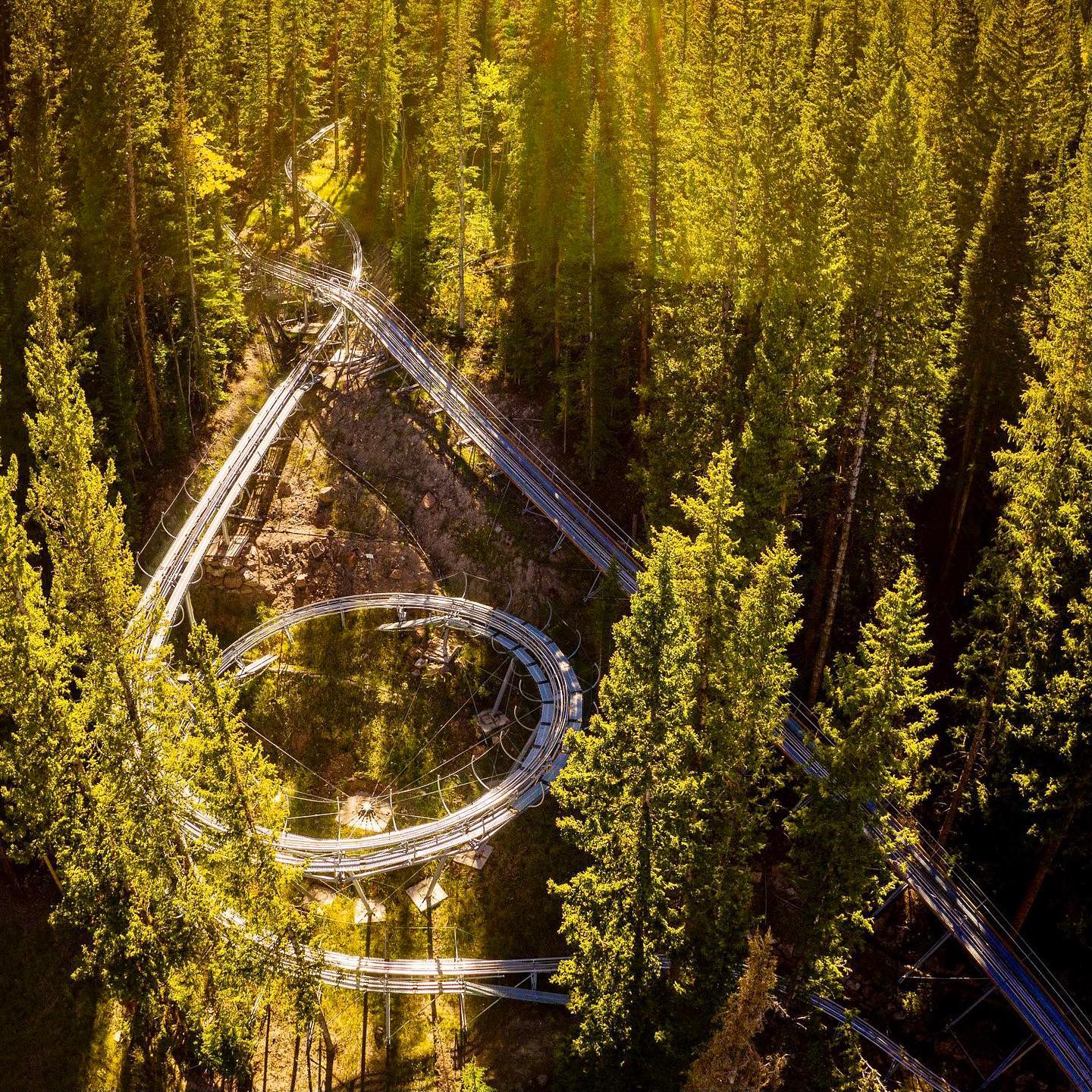 Alpine coaster winding through forest