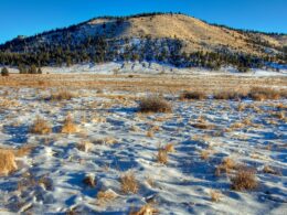 Buffalo Peaks Wilderness Snow Tracks Colorado