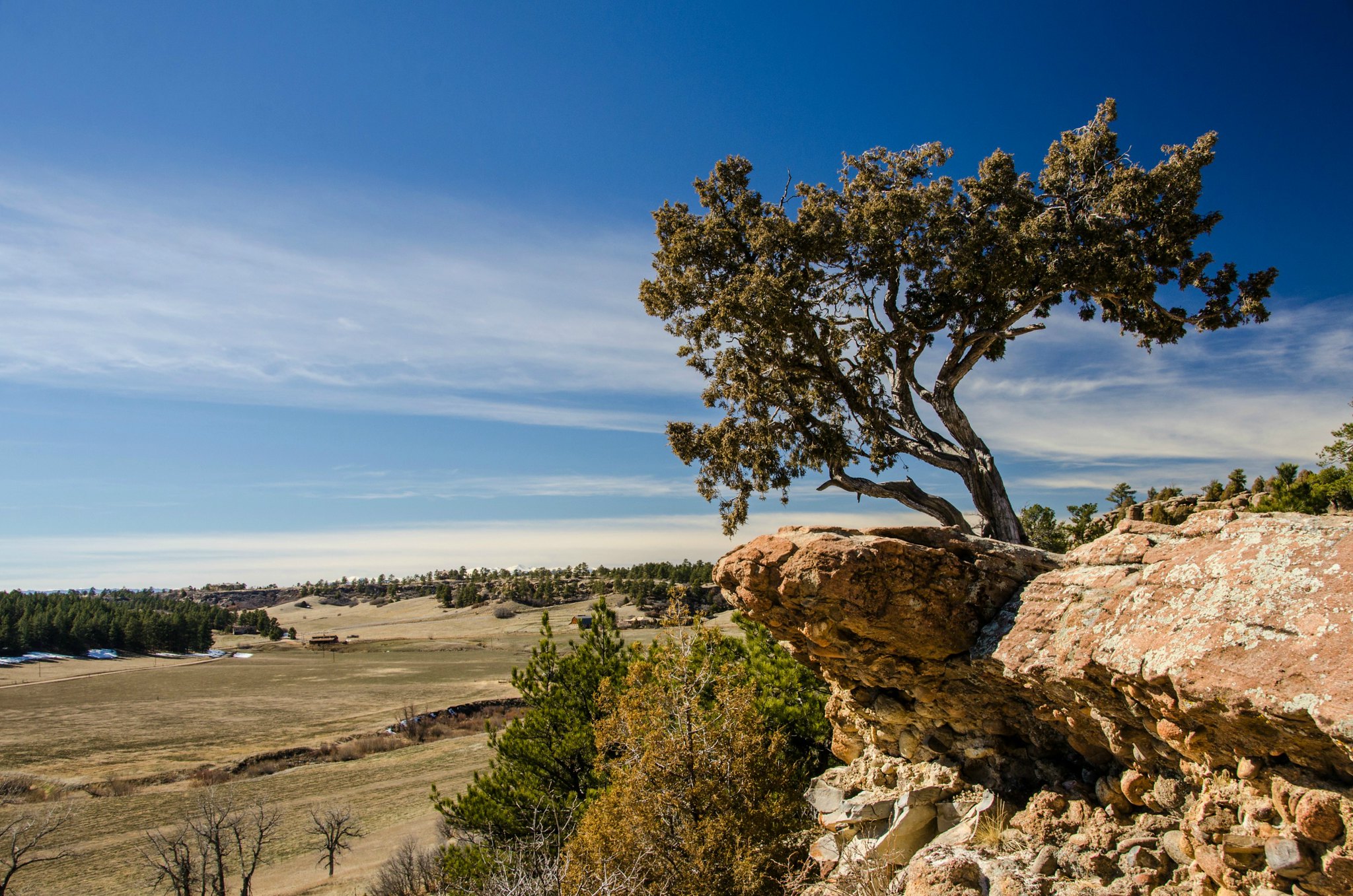 Tree on rock overlooking plains
