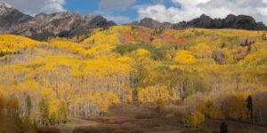 Best Fall Colors Colorado Kebler Pass Crested Butte