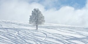 Colorado Winter Vacation Spot Vail Ski Resort Powder Day