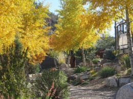 Durango Botanic Gardens, Colorado