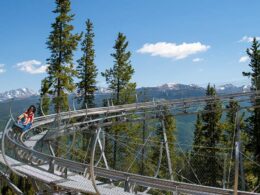 Forest Flyer Mountain Coaster Vail Resorts