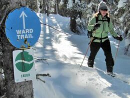 Grand Mesa Nordic Council Cross Country Skiing Ward Trail