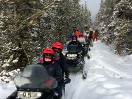 High Country Tours Snowmobile Tours