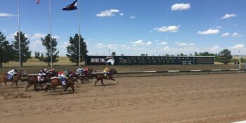 Colorado Horse Racing Arapahoe Park Racetrack Aurora