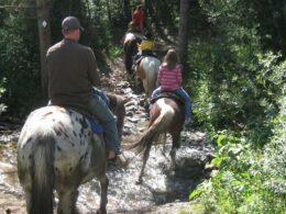 Horseback Riding Breckenridge