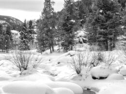 Snowy scene in Maloit Park, Colorado