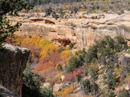 Ancient Cliff Dwellings Autumn Colors Mesa Verde National Park Colorado