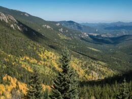 Mount Evans National Wilderness Area Colorado