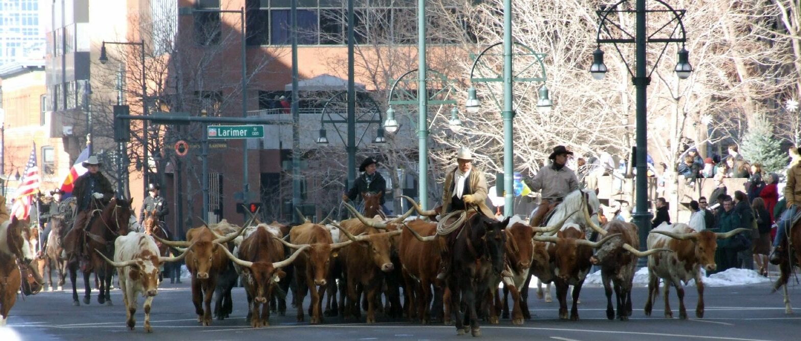 image of national western stock show