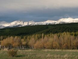 Rawah National Wilderness Area Colorado