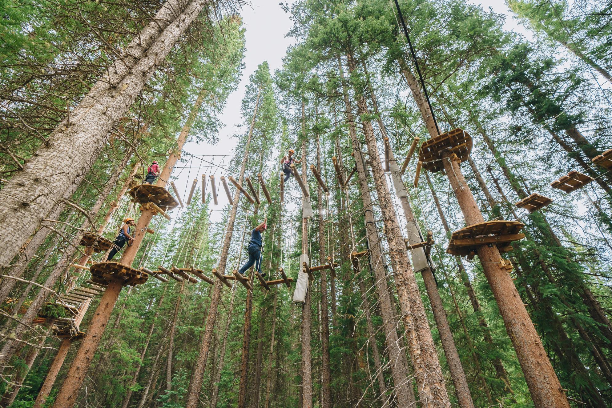High ropes course among the trees