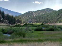 Image of the Tarryall Creek in Colorado