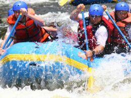 Taylor River Whitewater Rafting