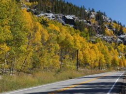 Tennessee Pass Road, CO Autumn Colors