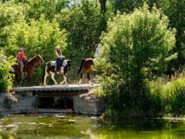 Image of people riding horses at The High Lonesome Ranch in De Beque, Colorado