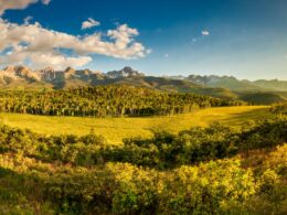 Uncompahgre National Forest Sneffels Range Panorama