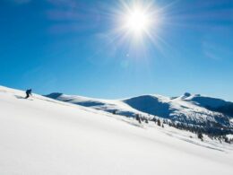 Vail Powder Guides Snowcat Skiing