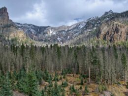 Weminuche Wilderness Colorado