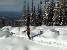 Winter Activities near Grand Junction Powderhorn Mountain Powder Day Skier